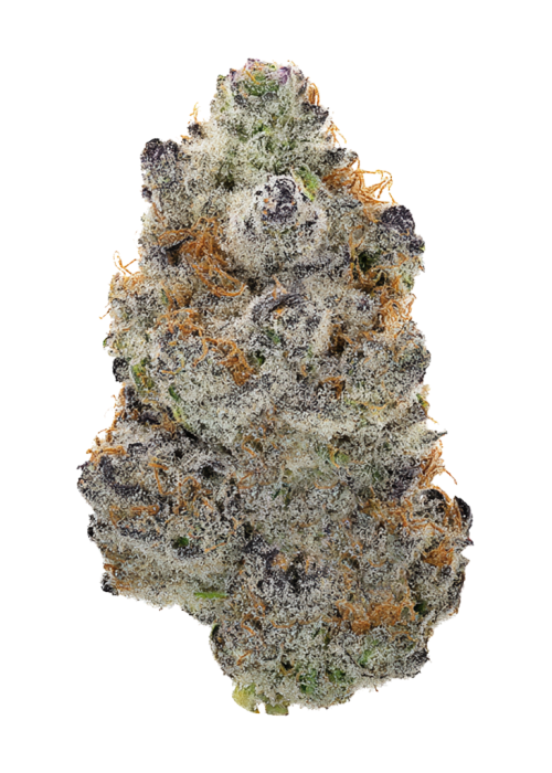 Biscotti Gelato flower
