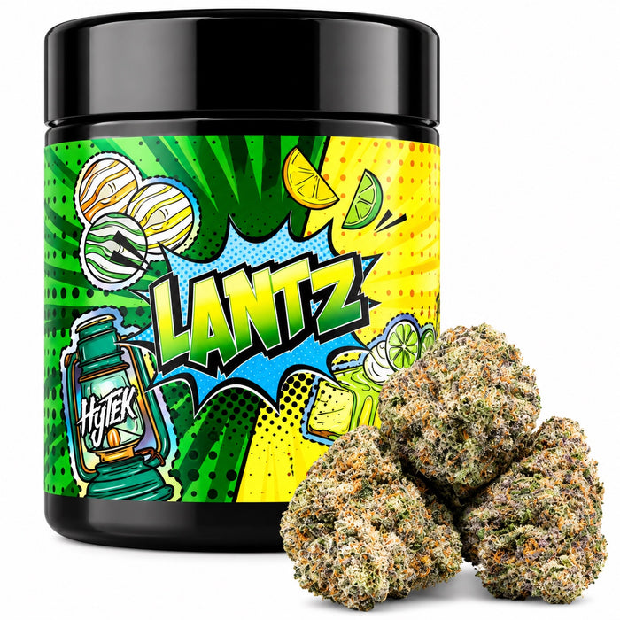 HYTEK Lantz flower jar