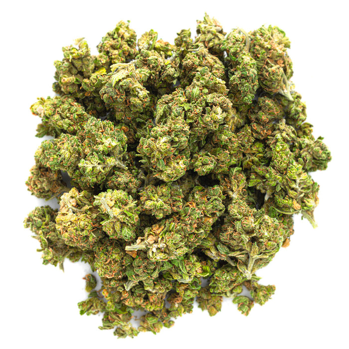 White Gelato 28 Grams
