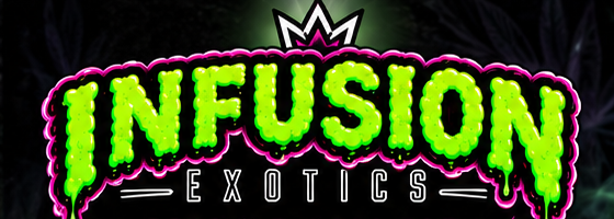 Infusion Exotics